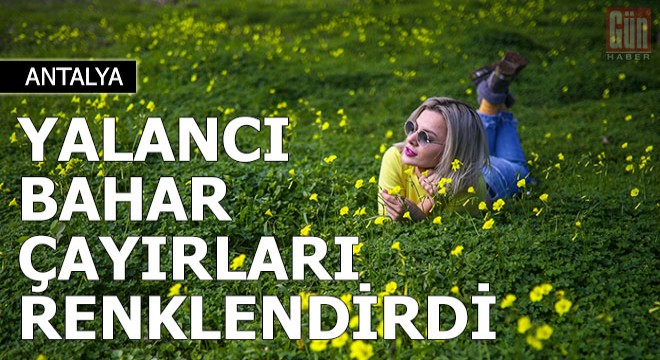 Antalya'da yalancı bahar, çayırları renklendirdi