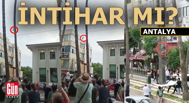 Antalya'daki bu olay tartışma yarattı; 'Kediler intihar eder mi?'