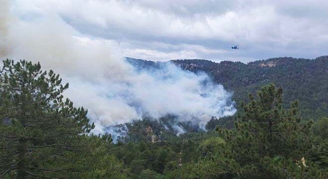 Antalya'daki orman yangını, kontrol altına alındı