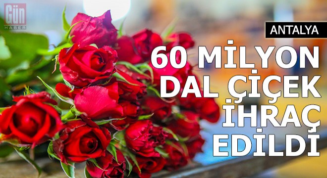 Antalya'dan dünya kadınlarına 60 milyon dal çiçek gönderildi