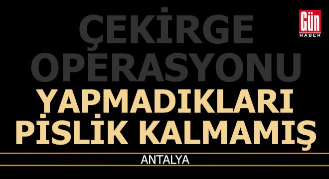 Antalya'nın da içinde bulunduğu 28 ilde çekirge operasyonu