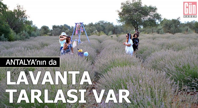 Antalya'nın da lavanta tarlası var