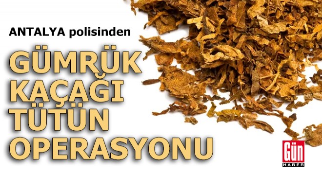 Antalya polisinden gümrük kaçağı tütün operasyonu