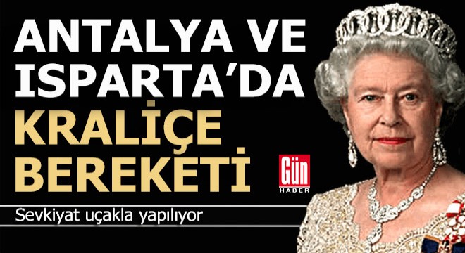Antalya ve Isparta'da kraliçe bereketi