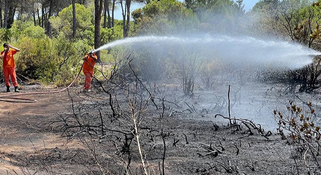 Antalya Aksu daki orman yangını, yarım saatte söndürüldü
