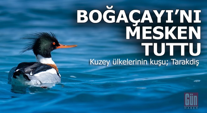 Antalya Boğaçay ın yeni misafiri...