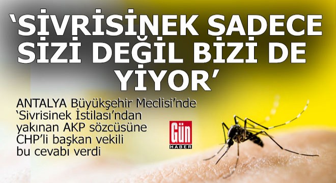 Antalya Büyükşehir de  Sivrisinek  tartışması