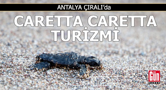 Antalya Çıralı da caretta caretta turizmi