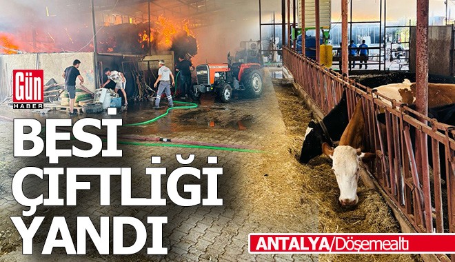 Antalya Döşemealtı'ndaki besin çiftliğinde yangın çıktı