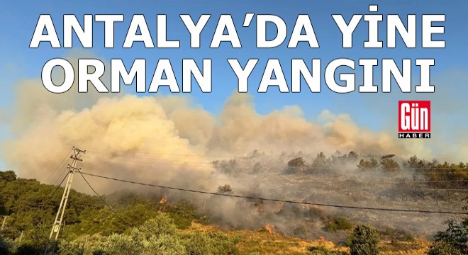 Antalya Gazipaşa da orman yangını
