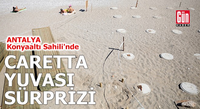 Antalya Konyaaltı Sahili nde caretta yuvası sürprizi