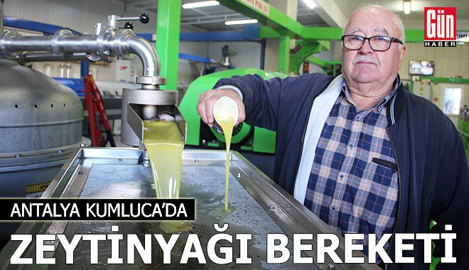 Antalya Kumluca'da zeytinyağı bereketi