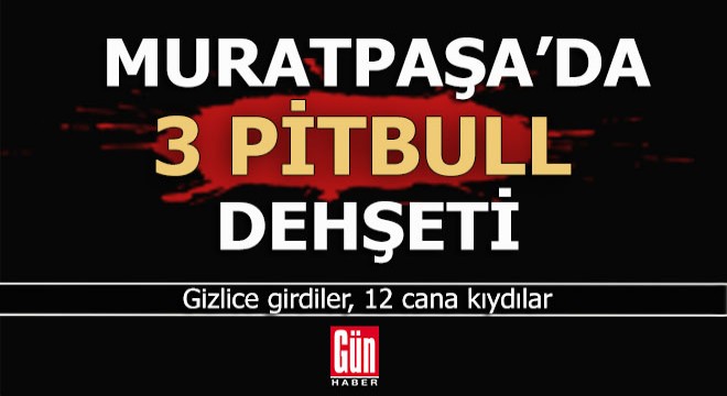 Antalya Muratpaşa da pitbull dehşeti