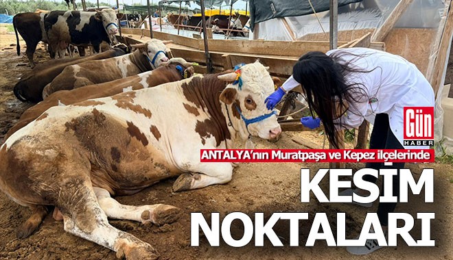 Antalya Muratpaşa ve Kepez'de kurban kesim yerleri belli oldu
