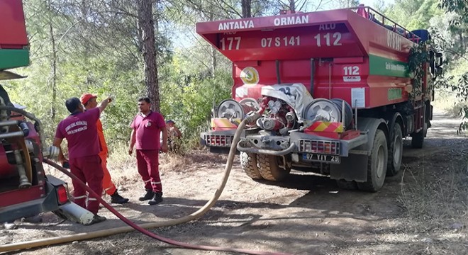Antalya Serik te orman yangını