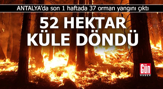 Antalya da 1 haftada 37 orman yangını; 52 hektar yandı