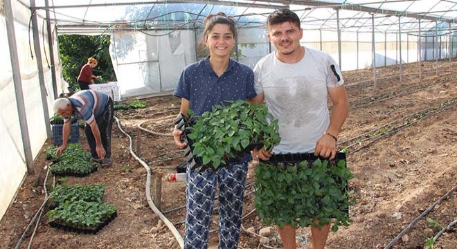 Antalya da 130 milyon fidan toprakla buluştu