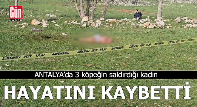 Antalya da 3 köpeğin saldırdığı kadın öldü