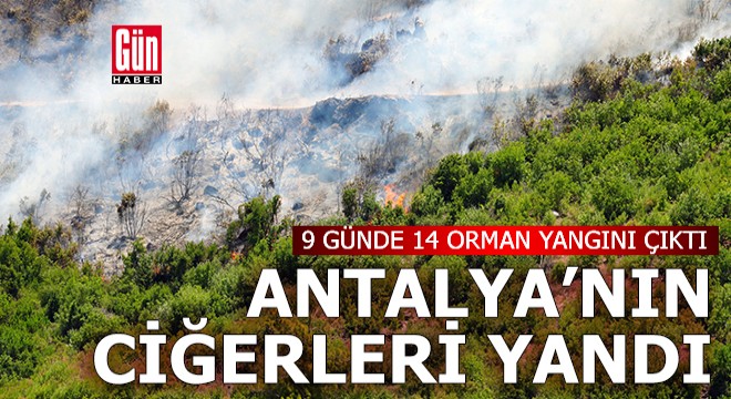 Antalya da 9 günde 14 orman yangını