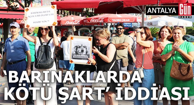 Antalya da  Barınaklarda kötü şart  iddiası