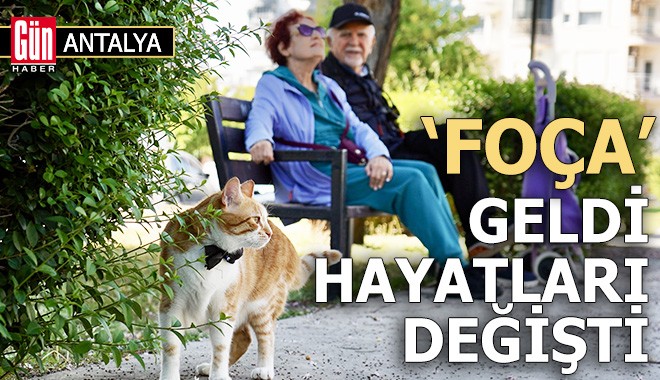 Antalya'da 'Foça' geldi, hayatları değişti