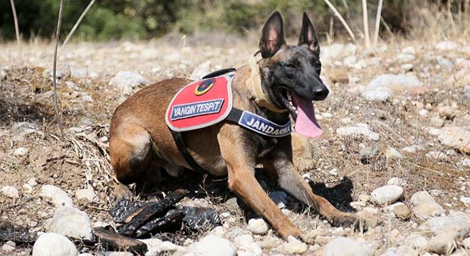 Antalya da  Hane , kundaklamaları tespit ediyor