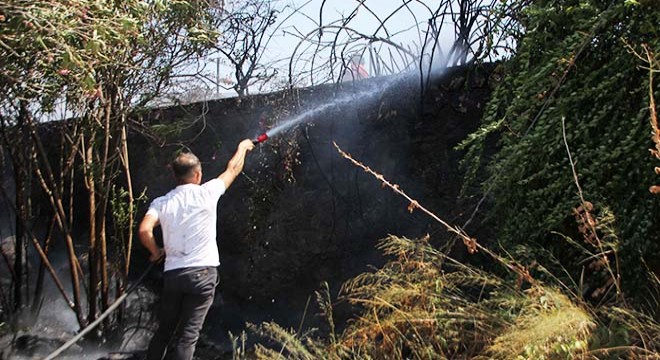 Antalya da ağaçlıktaki yangın büyümeden söndürüldü