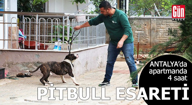 Antalya da apartmanda 4 saat  pitbull esareti 