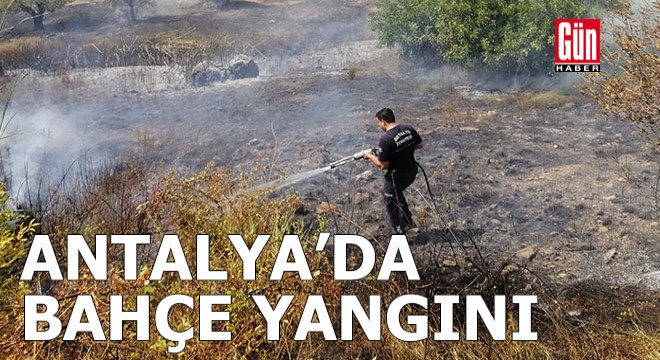 Antalya da bahçe yangını