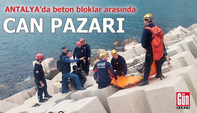 Antalya'da beton bloklar arasında can pazarı
