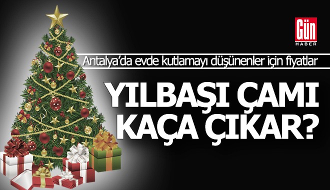 Antalya'da bir yılbaşı çamı süslemeleriyle kaça para?..
