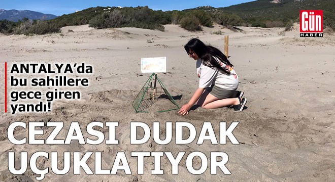 Antalya da bu sahillere gece giren yandı!