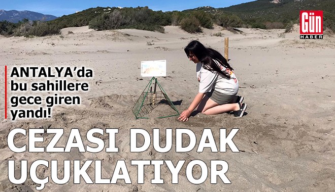 Antalya'da bu sahillere gece giren yandı!