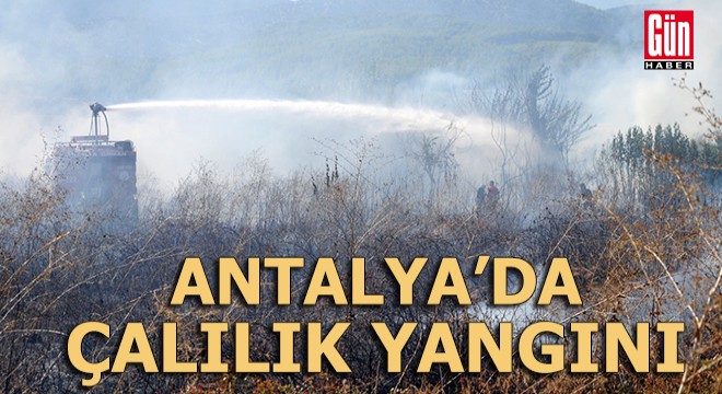 Antalya da çalılık yangını