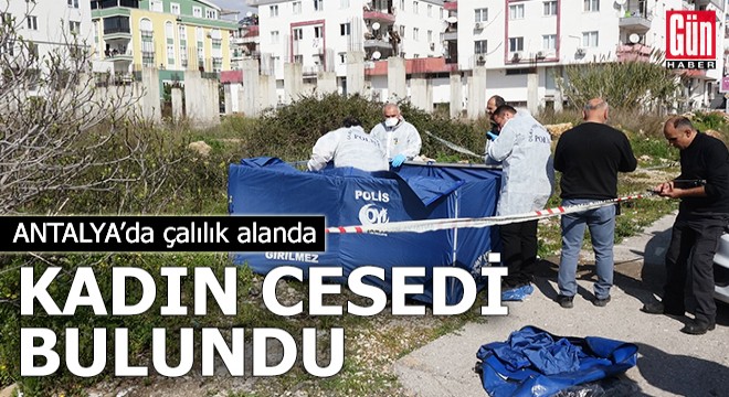 Antalya da çalılıkta kadın cesedi bulundu