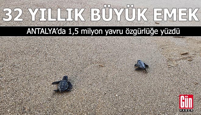 Antalya'da carettalar için 32 yıllık büyük emek