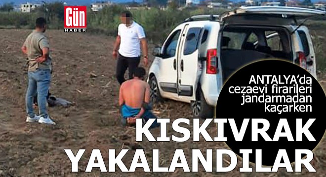 Antalya da cezaevi firarileri tarlada kıskıvrak yakalandı