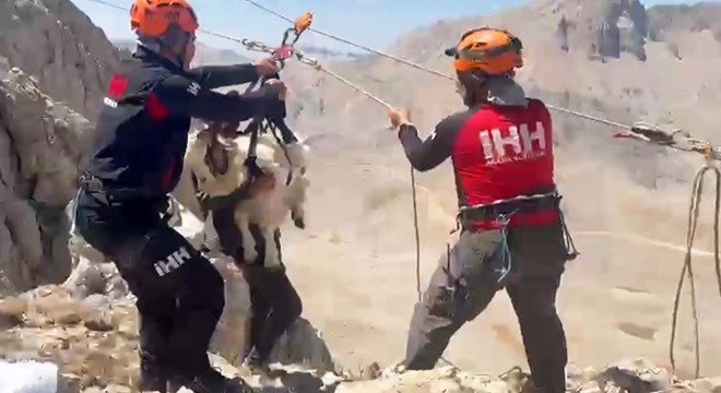 Antalya da dağlık alanda mahsur kalan 5 keçi kurtarıldı