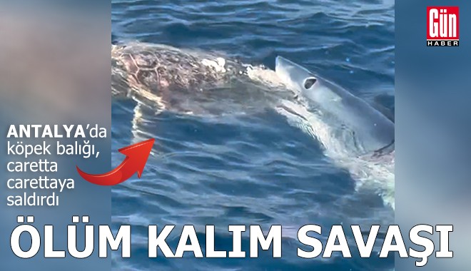 Antalya'da denizde ölüm kalım savaşı