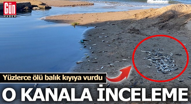 Antalya da denize dökülen kanalda balık ölümlerine inceleme