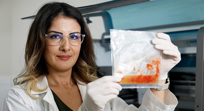 Antalya da domates, Nobel ödüllü yöntemle daha verimli olacak