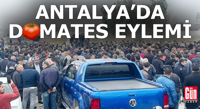 Antalya da domates eylemi