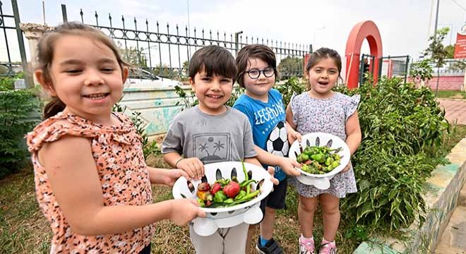 Antalya da ekolojik yaşama can suyu