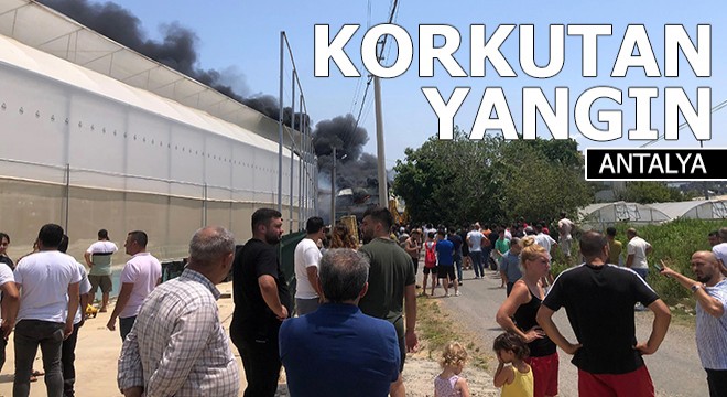 Antalya da fide üretim tesisinde korkutan yangın