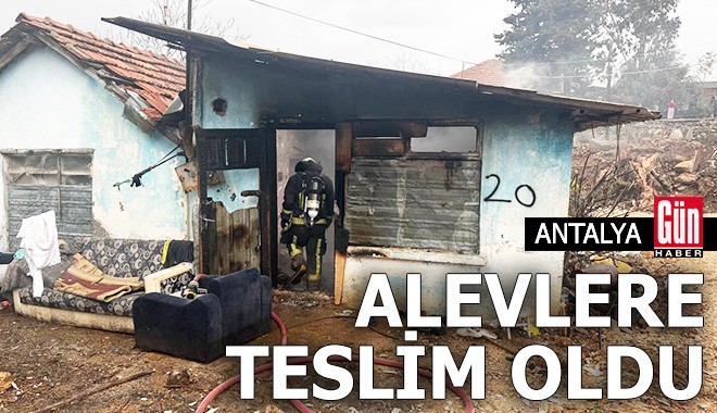 Antalya'da gecekondu alevlere teslim oldu