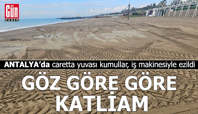 Antalya'da göz göre göre katliam