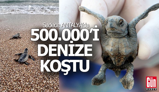 Antalya'da hangi ilçeden kaç carette carette denizle buluştu