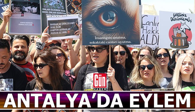 Antalya'da hayvansever eylemi