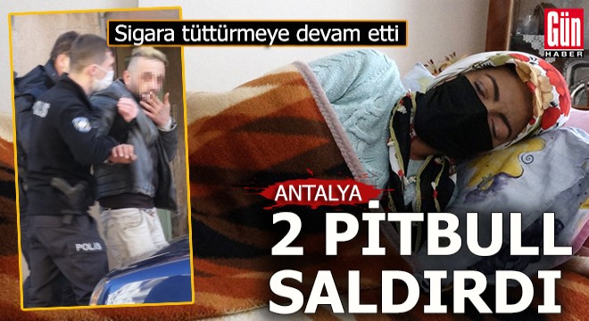 Antalya da iki Pitbull un saldırdığı kadın yaralandı
