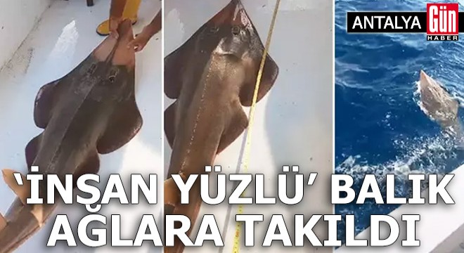 Antalya da  insan yüzlü  balık ağlara takıldı